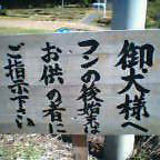 お犬様……ご注意を